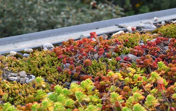 the cost of Ashgate green roof installation