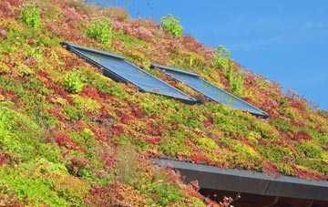 Ashgate living roof systems
